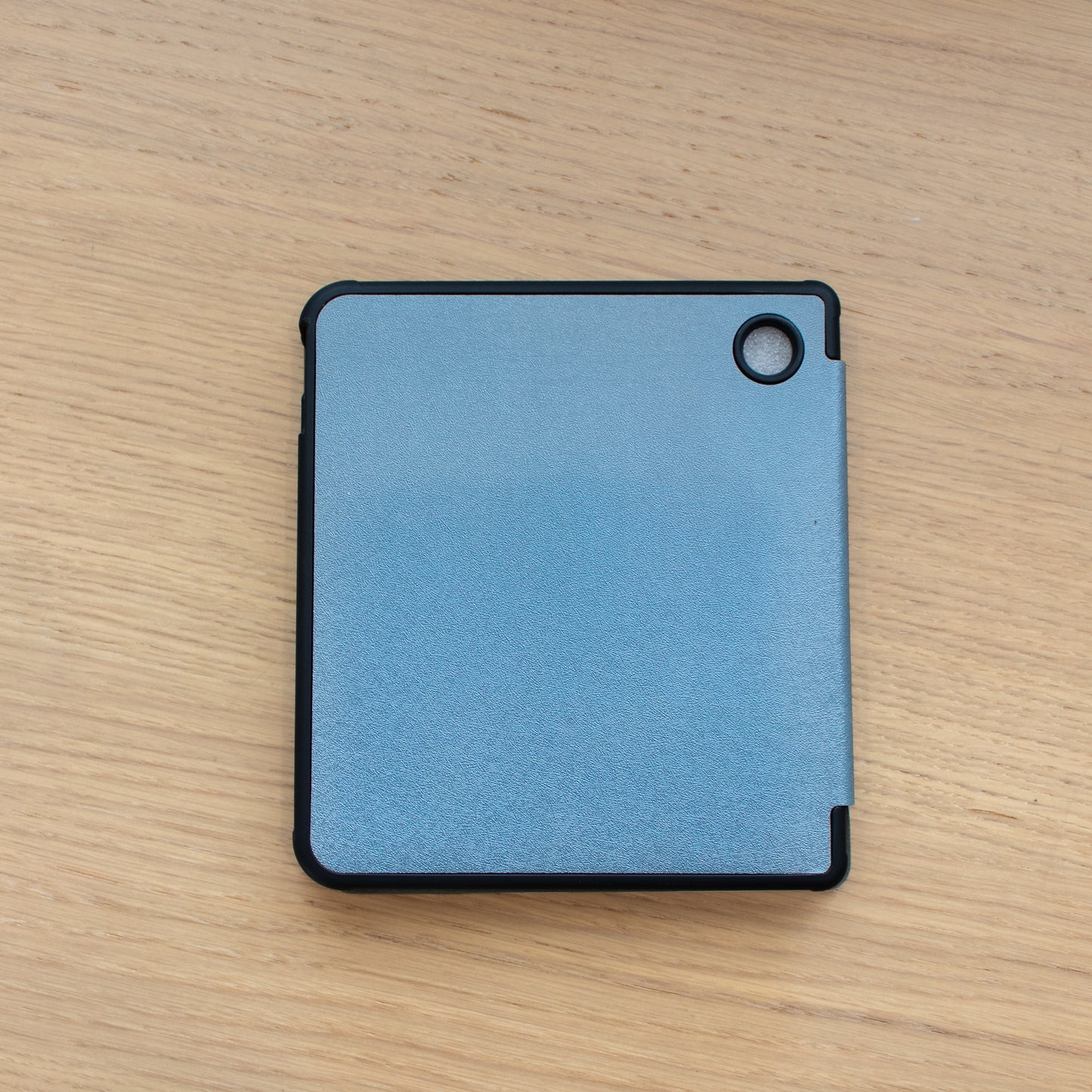 Well Traveled Reader Kobo Case