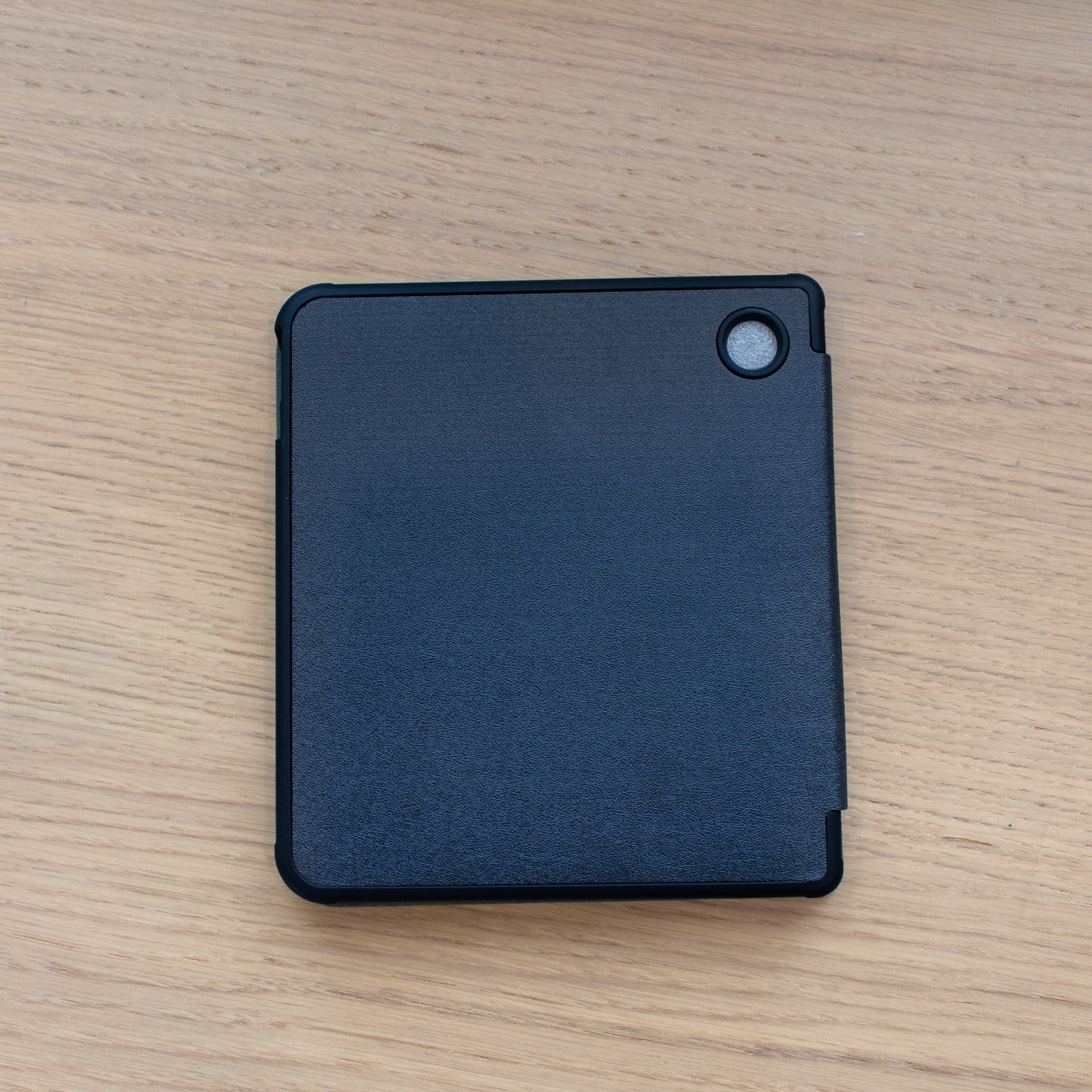 Book Dragon Kobo Case