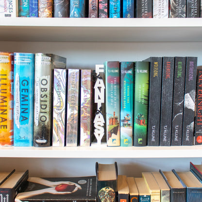 Fantasy - 3D Printed Shelf Decor