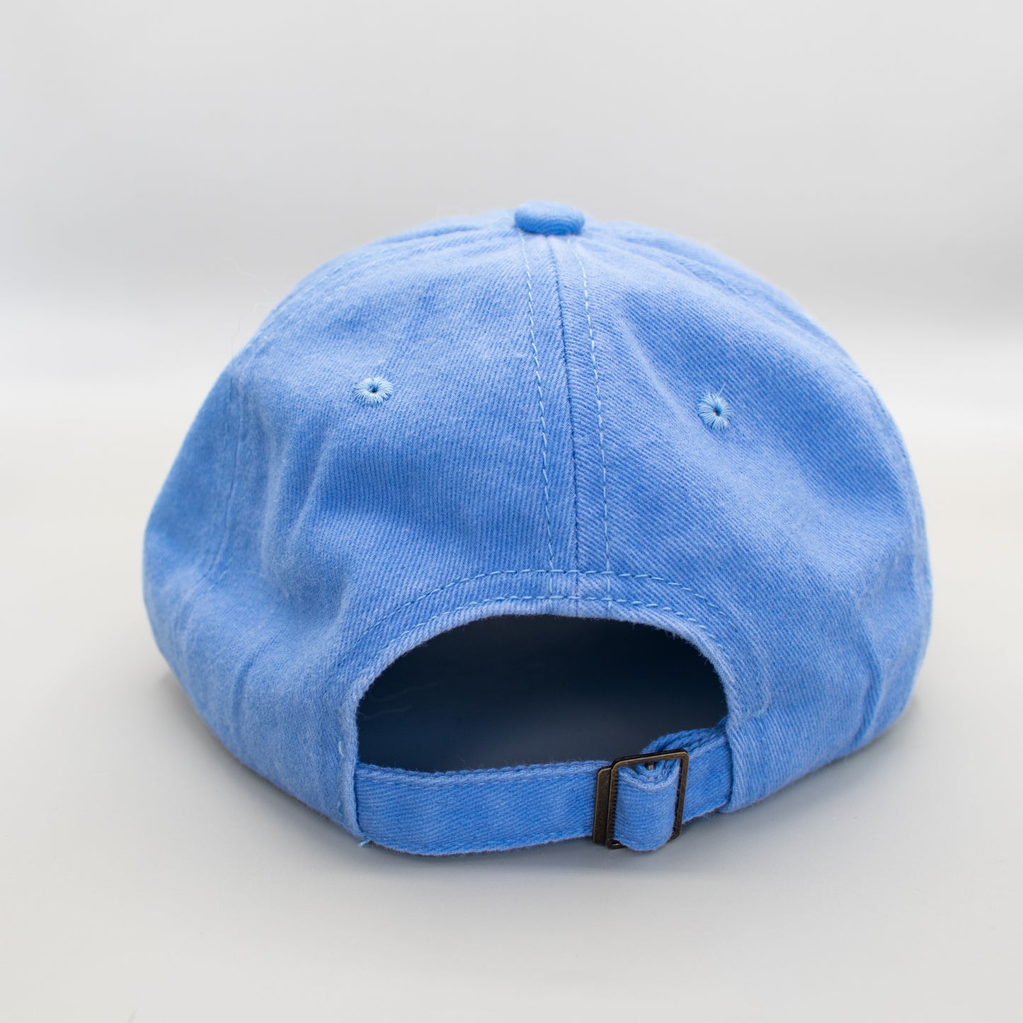Take Me to the Bookstore Embroidered Hat